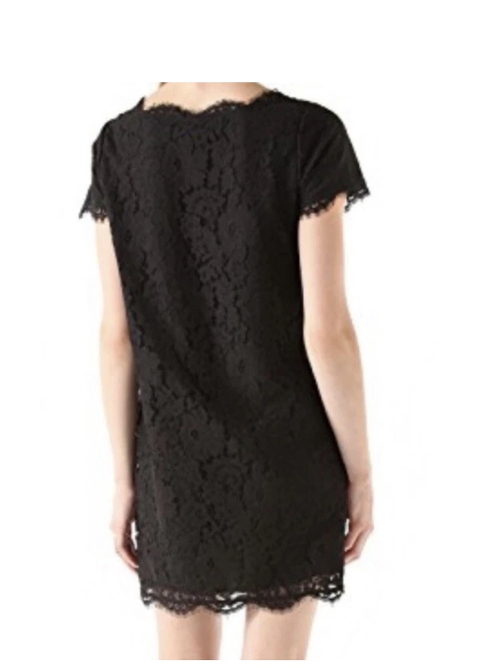 Joie Black Susina Lace Sheath Dress Size S Short Sleeve - Picture 3 of 12